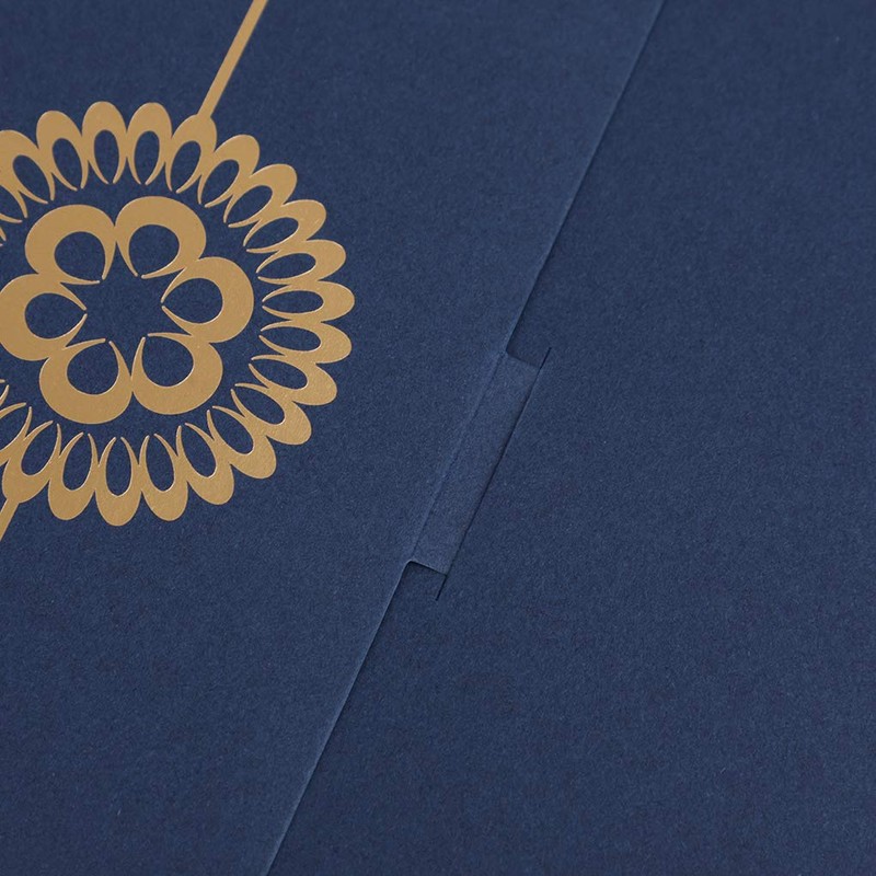 Pack of 5 Certificate Card Protective Cover Document Protector A4