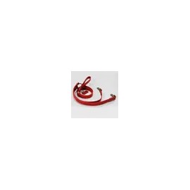 Opum Pet Supply 20MM for dogs, cats and daily pet care, pet care accessory or treat, Opum Korean Import, Pet Care Essential, pet care, Option 2