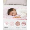 Mr. Sandman Weighted Blanket 3LBS 36 x 48 Inches, Minky