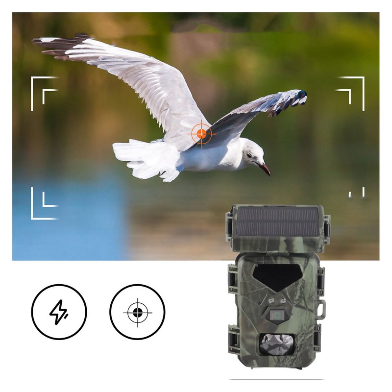 Solar Trail Camera 1080P 30fps 20MP Game Camera 60 Degree