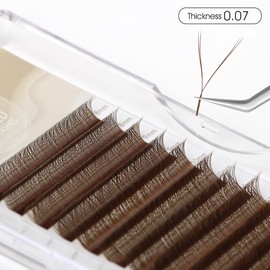NATUHANA YY Eyelash Extension 0.07mm C Curl 8-14mm Mixed Makeup Tray Lash Supplies Premade Fans Y Shape Volume Lash 12Raws/Case Premium Faux Mink False Lash Extensions (brown; 0.07 C 8-14MIX)