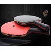Senston Professional Table Tennis Paddles with Ping Pong Balls, Advance