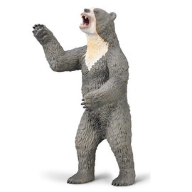 Collecta Short-faced Bear Deluxe Scale Ancient Animal Figure / 컬렉타 짧은얼굴곰 디럭스 스케일 고대 동물 피규어