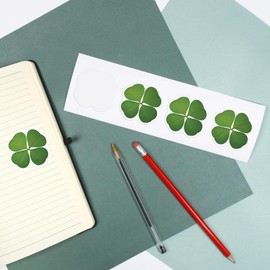 4 x Small 50mm 'Four Leaf Clover' Permanent Sticker Decals for Cars/Windows/Bins/Walls etc (DW00032745)