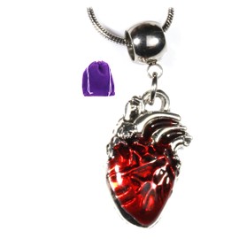 Anatomical Heart Necklace - Heart Necklaces for Women and Men of a Great Red Heart Necklace and Goth Necklace of a Heart Pendant and Goth Gifts for Women and Men makes Great Weird Jewelry