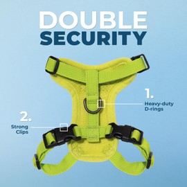 Voyager Step-in Lock Adjustable Cat Harness w. Cat Leash Combo Set with Neoprene Handle 5ft - Supports Small, Medium and Large Breed Cats by Best Pet Supplies - Lime Green, XXS