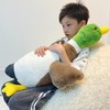 Tanha Mallard Duck Plush, Duck Stuffed Animals, Mallard Duck Baby