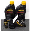 Power Performance SAE 30 Oil Change Kit for Kawasaki 49065-0724