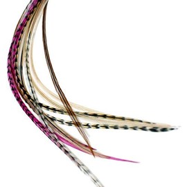 One Fine Day Feathers Feder-Haarverlängerung, echte Federn für Haar, 22-33 cm - Pink Auburn (3 Federn)