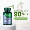Nicotinamida en Cpsulas Beneficios para la Piel Apoyo Antioxidante 90