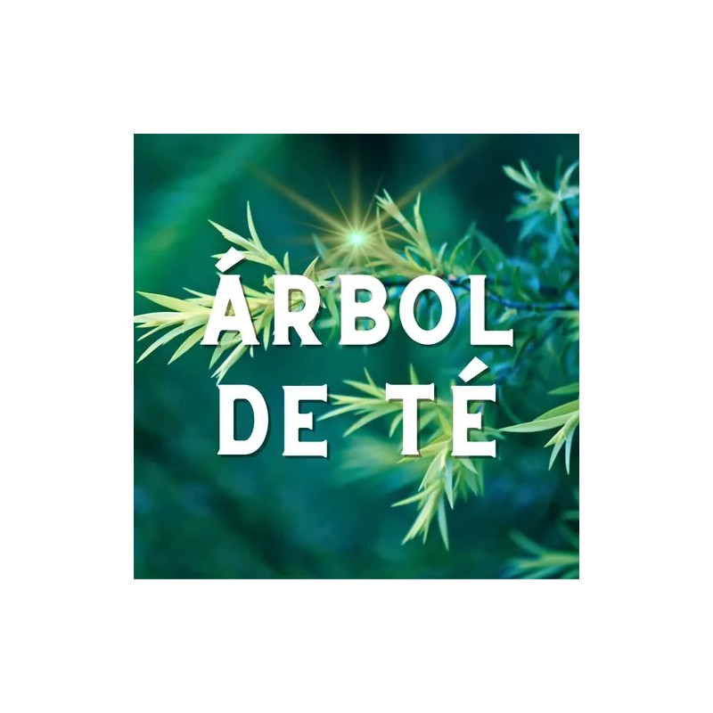 Jabones Artesanales Con Plantas Y Aromaterapia A Escoger