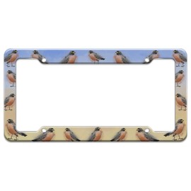 GRAPHICS & MORE Robin Watercolor Northeastern Bird License Plate Tag Frame
