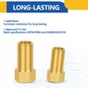 2-PACK GUOFIS Brass Pipe Fittings Female Adapter,1/2"Female x1/2" Male Extension