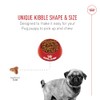 ROYAL CANIN, Puppy - Pug, Croquetas para Perro, 1.1kg
