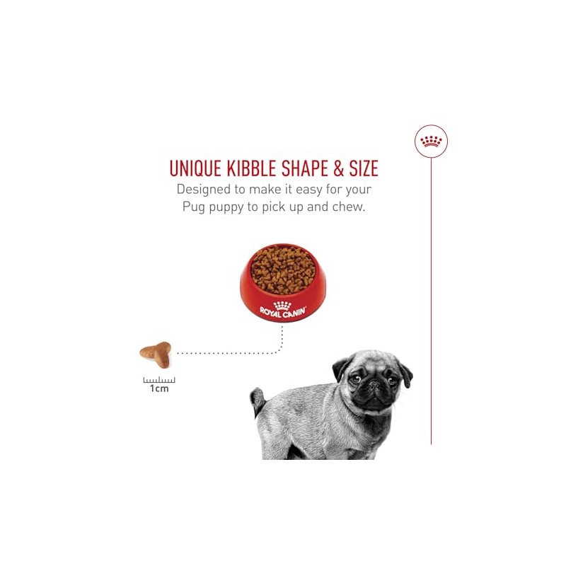 ROYAL CANIN, Puppy - Pug, Croquetas para Perro, 1.1kg