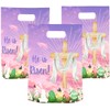 Onmlkkd 50 Pack He is Risen Bags for Kids Large