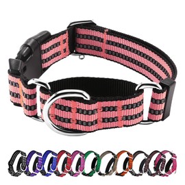 Hikiko Martingale Dog Collars Reflective Nylon Dog Collar with Quick Release Buckle Adjustable Training No Slip Dog Collar (Medium, Cherry Pink)