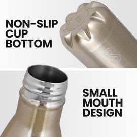 HOME ARCHIVE Water Bottle 25 Oz Stainless Steel Double Wall & Vacuum Insulated Sports Water Bottle Keep Cold for Upto 15 Hours and Hot for Upto 12 Hours | Pack of 1 (Copper)