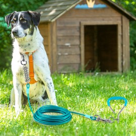 Dog Tie Out Cable and Stake,40FT Outside Dog Run Cable Leash&Chain with Shock Spring for Camping and Yard, 16'' Heavy Duty Anti Rust Spiral Stake for Small-Large Dogs Up to 200 lbs (Teal, 200lbs 40FT)