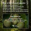 Aceite de Kemiri: fortalece y nutre el cabello y el