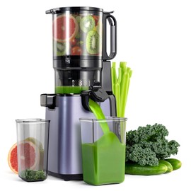Ventray Juicer Machine, Cold Press Juicer with 5.1'' Extra Large Feed Chute for Whole Vegetables & Fruits, 250w, High Juice Yield, Easy to Clean with Brush