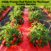 NRWRTY 4 Mil Red Plastic Mulch, 4 X 50 FT