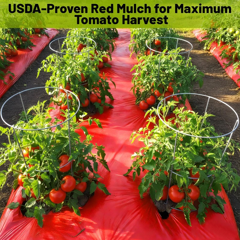 NRWRTY 4 Mil Red Plastic Mulch, 4 X 50 FT