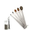 5PCS Stainless Steel Measuring Spoons, Set of 5 (Tad, Dash,
