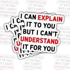 3 Pcs I Can Explain It to You But I Can't Understand It for You Stickers – Funny Sarcastic Decals – Gifts for People Who Love Witty Quotes – for Laptop, Water Bottle, Tumbler – 3"x3"