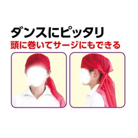 Artec 腰巻 Red 001584