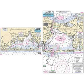 Captain Segull's Inshore Shinnecock Bay, NY Fishing Nautical Chart # SKC384
