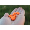 Tandem Baits Method Feeder Fluo Pop-Up Micro Chunks Monster Halibut,