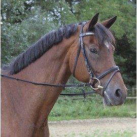 Kerbl 32664 Belt Reins, Black