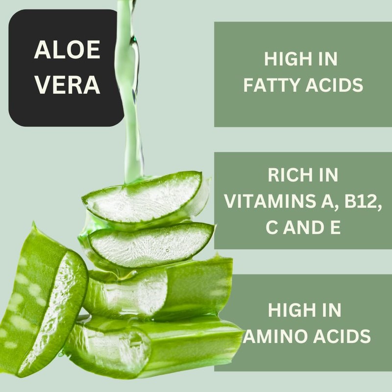 Liquivera Honey & Apricot Scented Body Lotion with Aloe Vera,