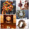 Temfmy Rattan twig Branch Grapevine Wreaths - 18 Inch Sunburst
