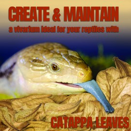 SunGrow Leaf Litter Mini Catappa Indian Almond Leaves for Reptiles, 2 Inches, 100 Pack Provides Hiding Place and Visual Barrier, Maintains Humidity in Vivarium, Aesthetic Tank Décor in Gecko Terrarium