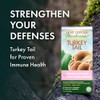 Host Defense Host Defense Turkey Tail Mushroom Capsules – Immune