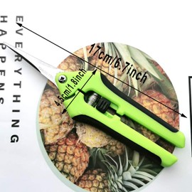 Markeny 3 Pack Gardening Hand Scissors Stainless Steel Safety Pruner Pruning Shear Bonsai Snippers, Green