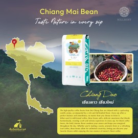 Hillkoff Coffee Beans form Northern Thai Arabica 100% Doi Chiang Dao Whole Beans Coffee 8.8 Oz Thai Coffee House Coffee Thai Product