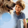 BELABB® Giardien Quick Test for Dogs and Cats, 3 Tests