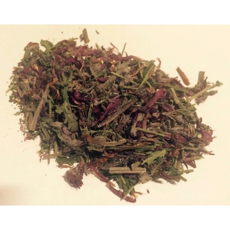 Our Sacred Garden 1 oz. Indian Warrior Herb (Pedicularis Densiflora)