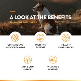 NaturVet All-in-One Dog Supplement - for Joint Support, Digestion, Skin, Coat Care – Dog Multivitamins with Minerals, Omega-3, 6, 9 – Wheat-Free Vitamins for Dogs – 120 Soft Chews