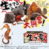 CattyMan Playful Cat Kicking Toy Live Dragon Seahorse