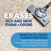 Unique Carpet Shampoo & Stain Remover, 128 oz - Pet
