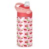 GOODOLD Red Cherries Stems Kids Water Bottle, Insulated Stainless Steel