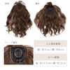 BrightLala p257-BK Bangs Wig, Partial Wig, Hair Extension, Natural, Long