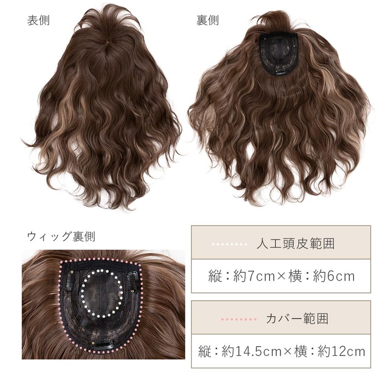 BrightLala p257-BK Bangs Wig, Partial Wig, Hair Extension, Natural, Long