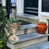 LC LCdecohome Face Flower Pot Head-Planters Succulent - 10 Inch