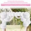 Pack of 24 Pompoms Decorative White Tissue Paper Pompoms, Lanterns