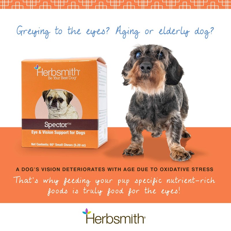 Herbsmith Spector - Eye and Vision Support for Dogs -